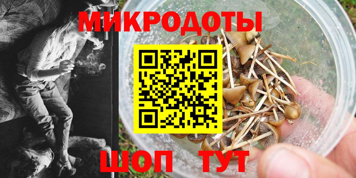 Псилоцибиновые грибы Magic Shrooms Новороссийск